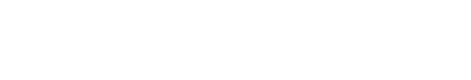 BDDTI Logo