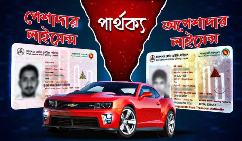 পেশাদার বনাম অপেশাদার ড্রাইভিং লাইসেন্স: যা নতুন চালকদের জানা জরুরি